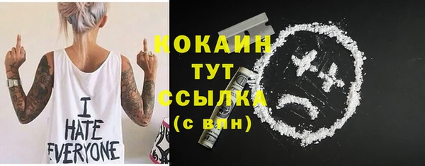 дмт Аркадак