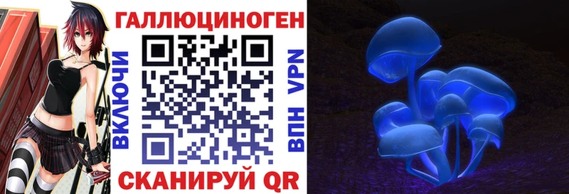 Галлюциногенные грибы мицелий  Лодейное Поле 