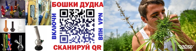 нарко площадка наркотические препараты  Лодейное Поле  МАРИХУАНА сатива 